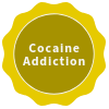 Cocaine Addiction